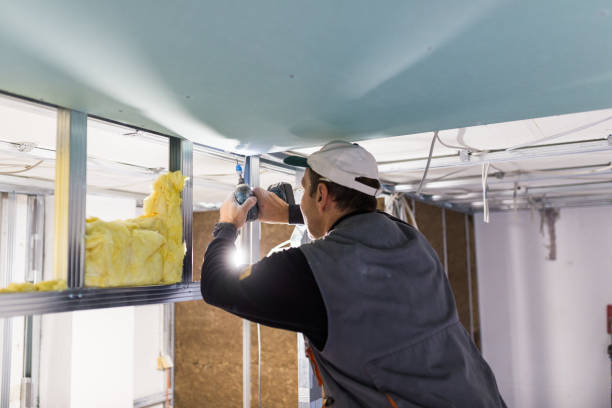 Best Commercial Insulation in Sorgho, KY