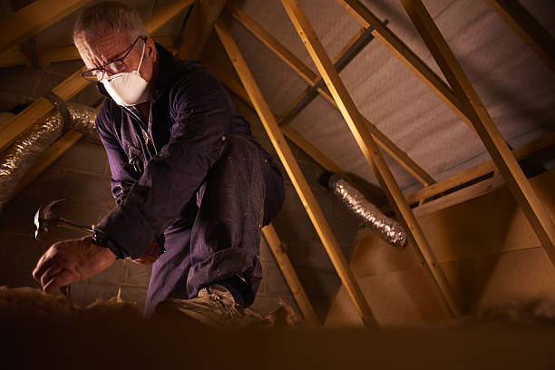 Best Specialty Insulation in Sorgho, KY
